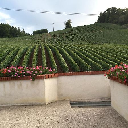 Vauciennes La Loge Du Vigneron别墅 外观 照片