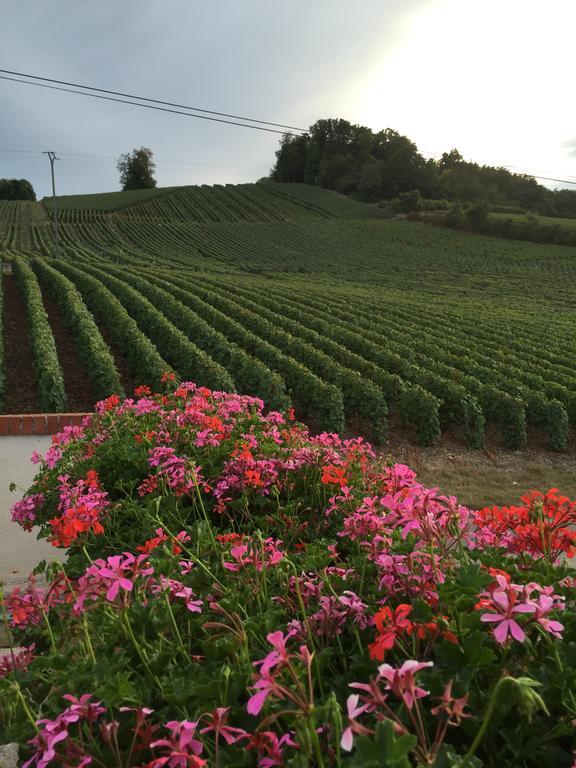 Vauciennes La Loge Du Vigneron别墅 外观 照片